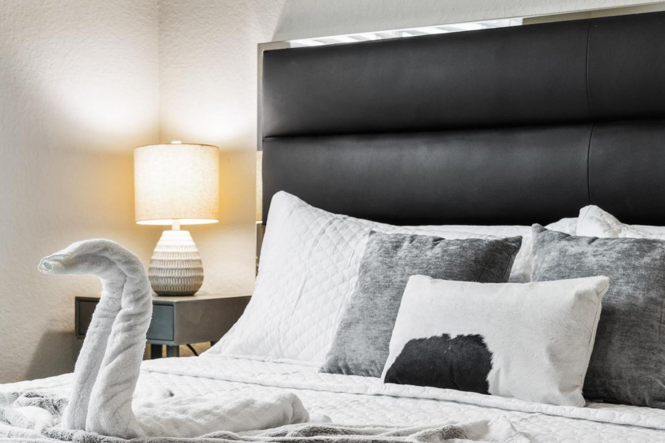 Tropicana Field 1 Bed In Downtown St Pete With Free Parking St. Petersburg Ngoại thất bức ảnh